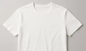 The Evolution of Simplicity